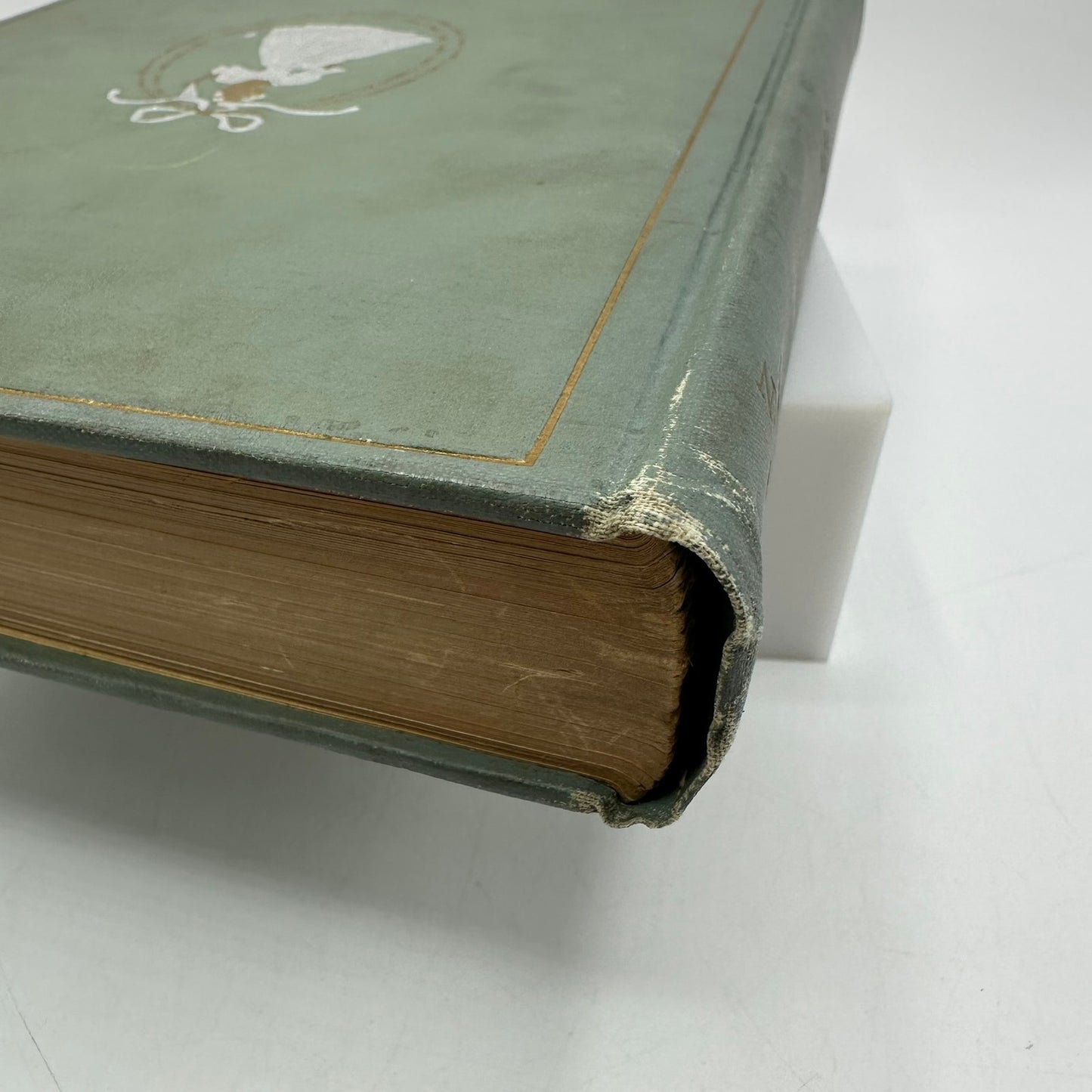 A Southern Girl in 61 D Giraud Wright Memoir Civil War Biography Confederate