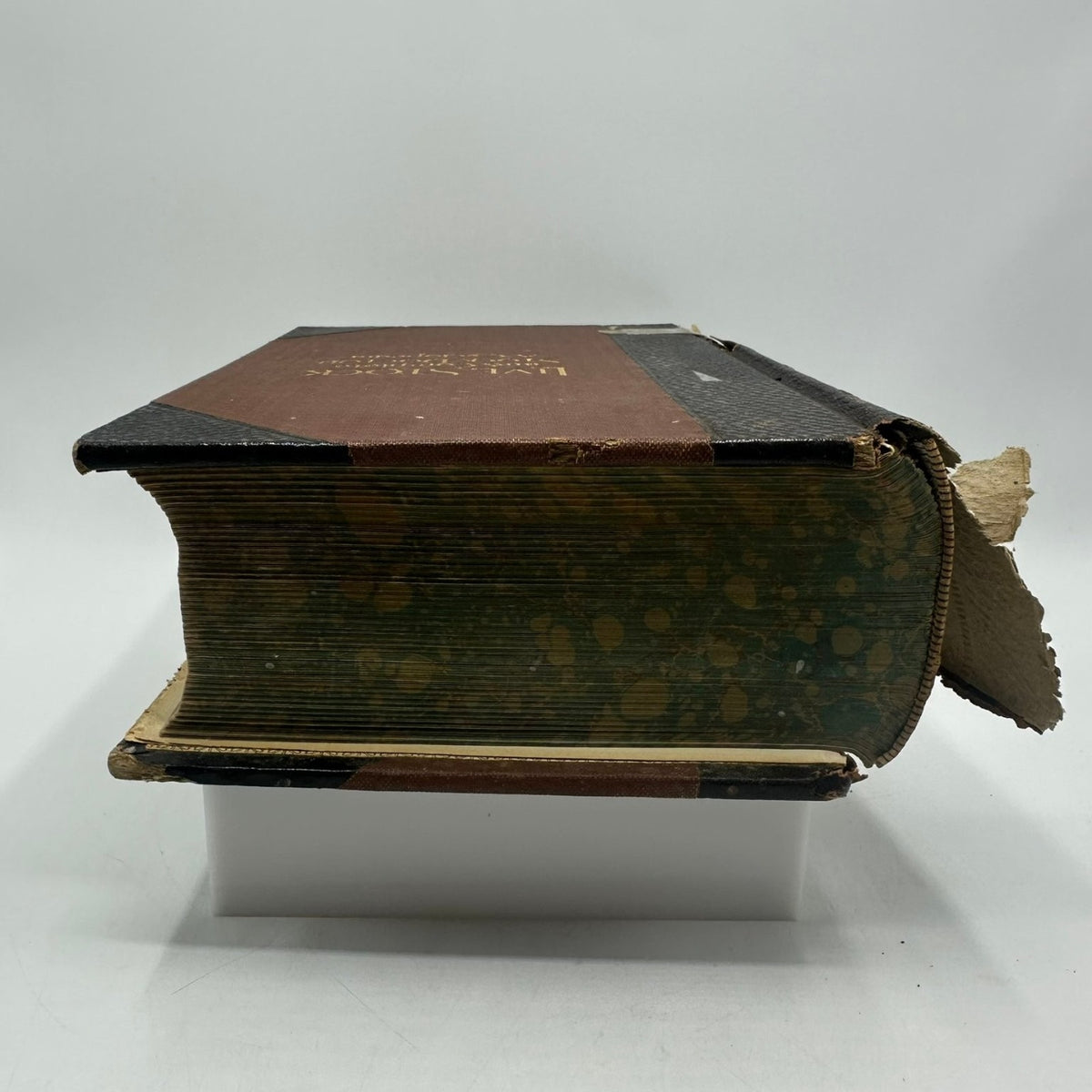 Live Stock A Cyclopedia A.H. Baker 1913 Special Edition 1000 Illustrations