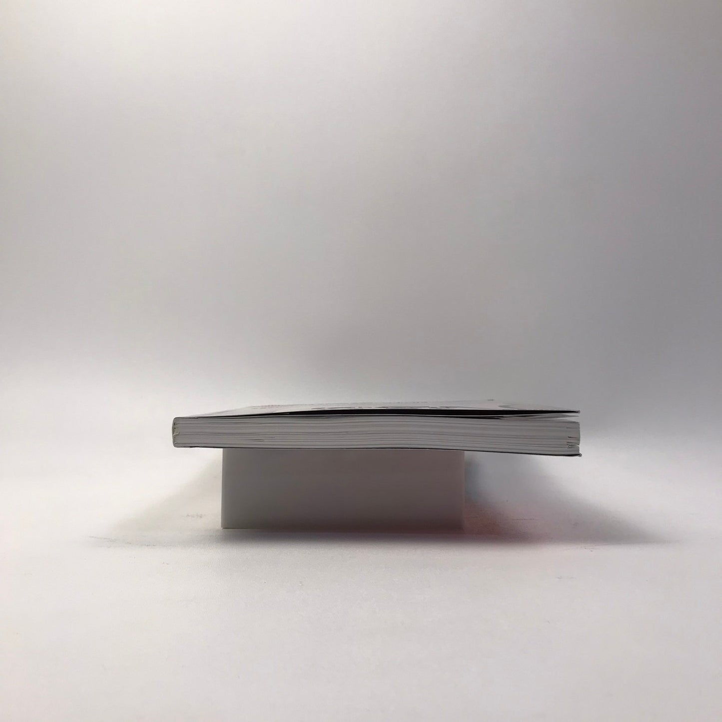 Sothebys Contemporary Art Exhibition Auction Catalog 2008 Lichtenstein Culture