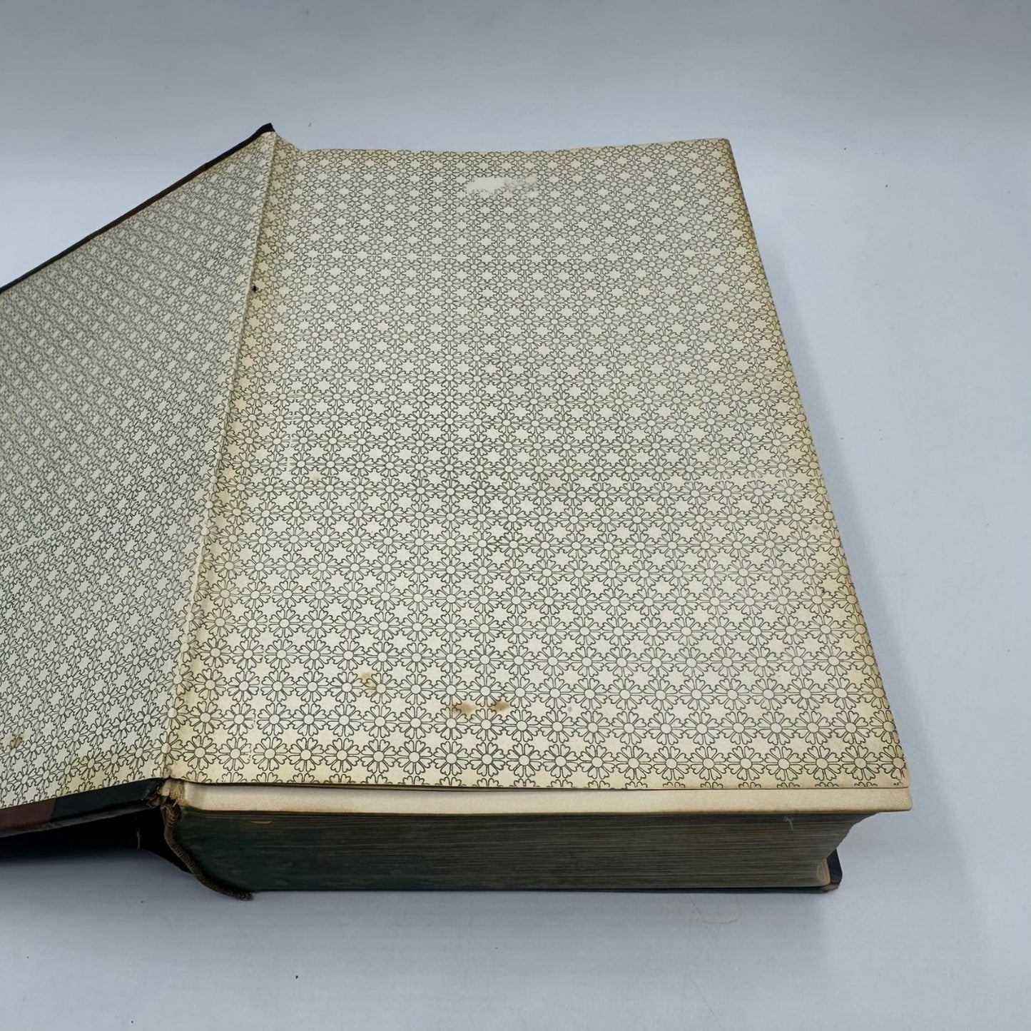 Live Stock A Cyclopedia A.H. Baker 1913 Special Edition 1000 Illustrations