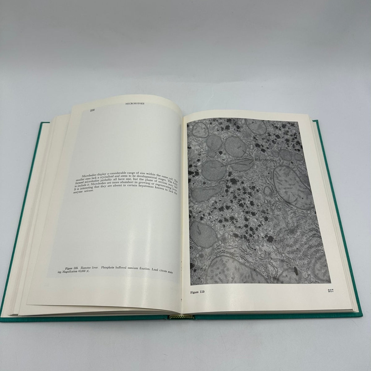 An Atlas of Fine Structure THE CELL Fawcett 1969 Biology Cytology Saunders