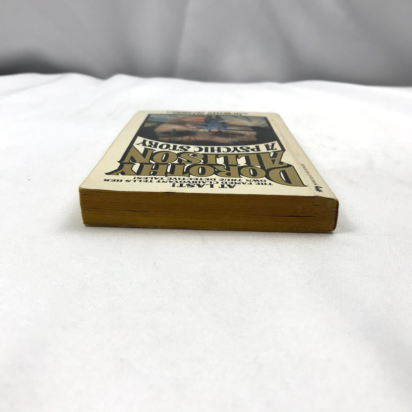 Dorothy Allison: A Psychic Story Book by Dorothy Allison and Scott Jacobson 1980