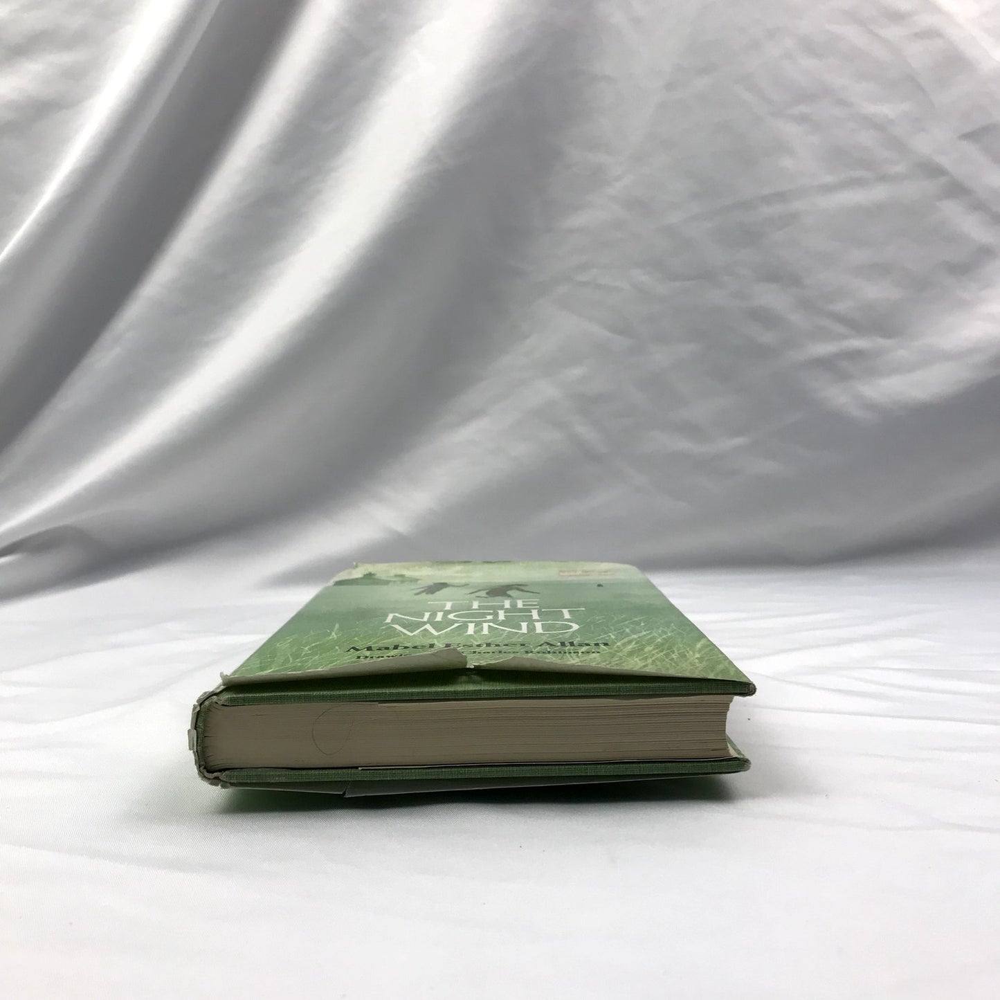 The Night Wind Hardcover Illustrated Book Mabel Esther Allan 1974 First Edition