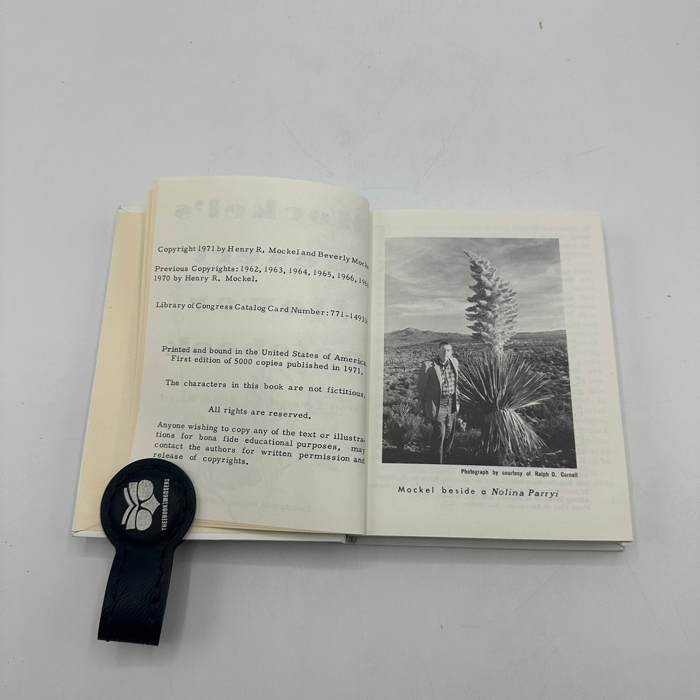 Mockels Desert Flower Notebook Henry Beverly SIGNED Drawings Watercolors 1971