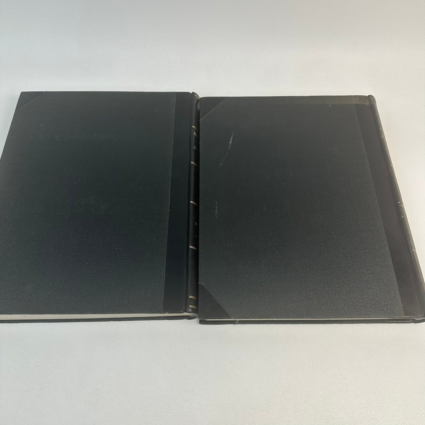 The Masterpieces of European Art Volumes 1 and 2 History Culture Painting