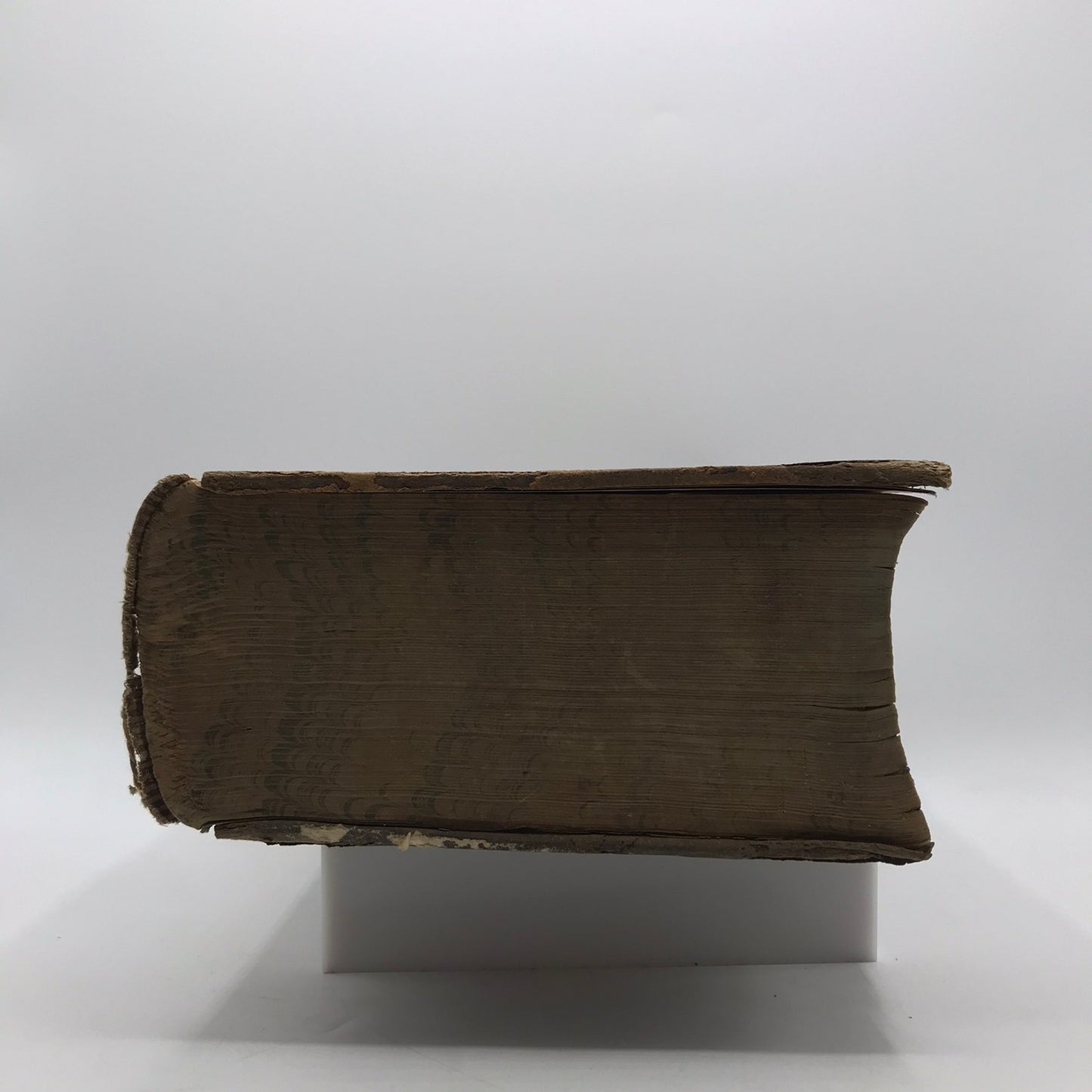 A Copious and Critical Latin English Lexicon E A Andrews Language Lexicography