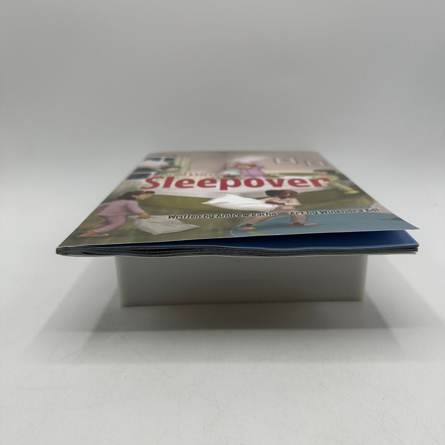 This Is Not A Kid's Book Sleepover by Andrew Racho Humor Entertainment Comedy