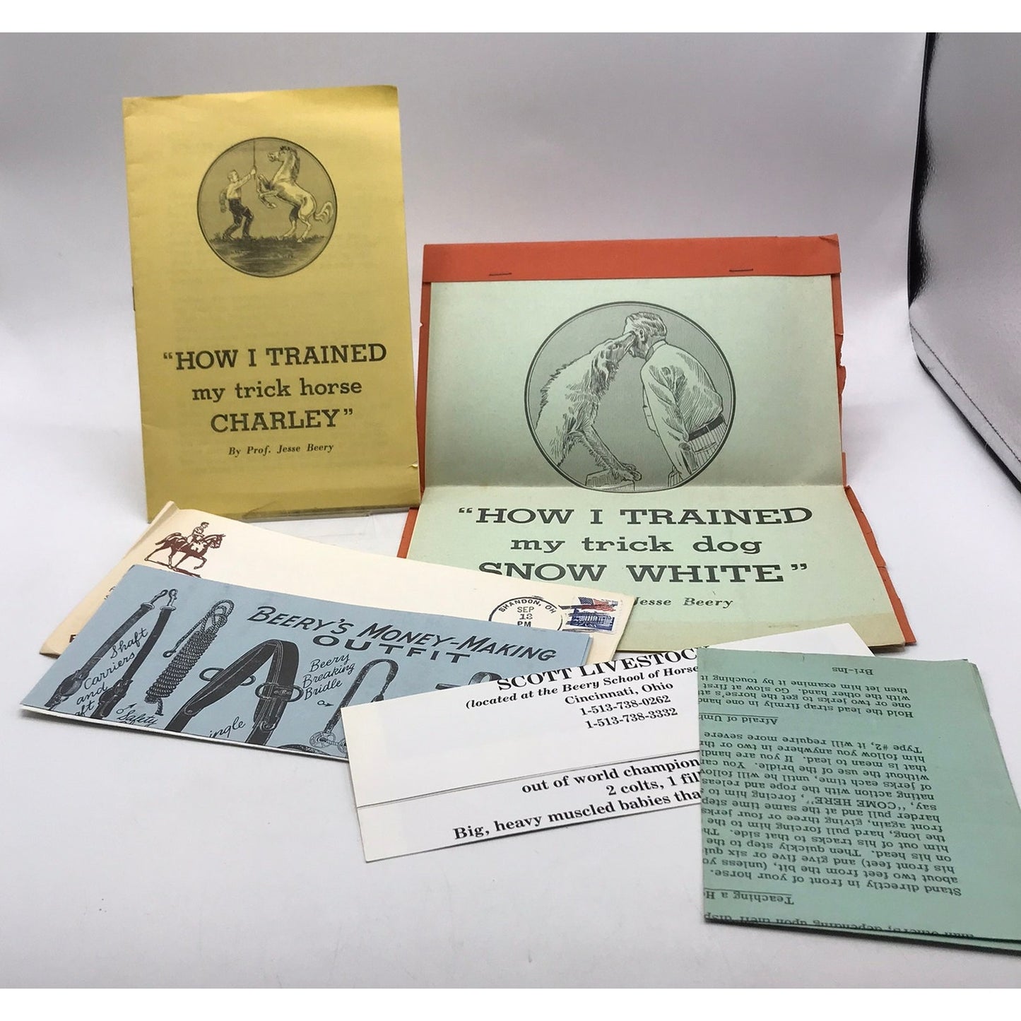 Prof Beerys Illustrated Course in Horse Training Saddle-Horse Instructions Lot