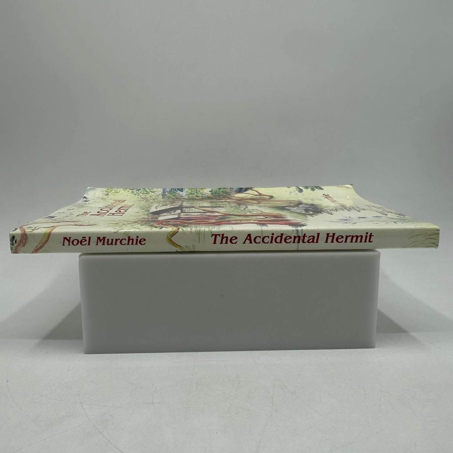 The Accidental Hermit Noël Murchie 2001 SIGNED Memoir Social Science Nine Toes