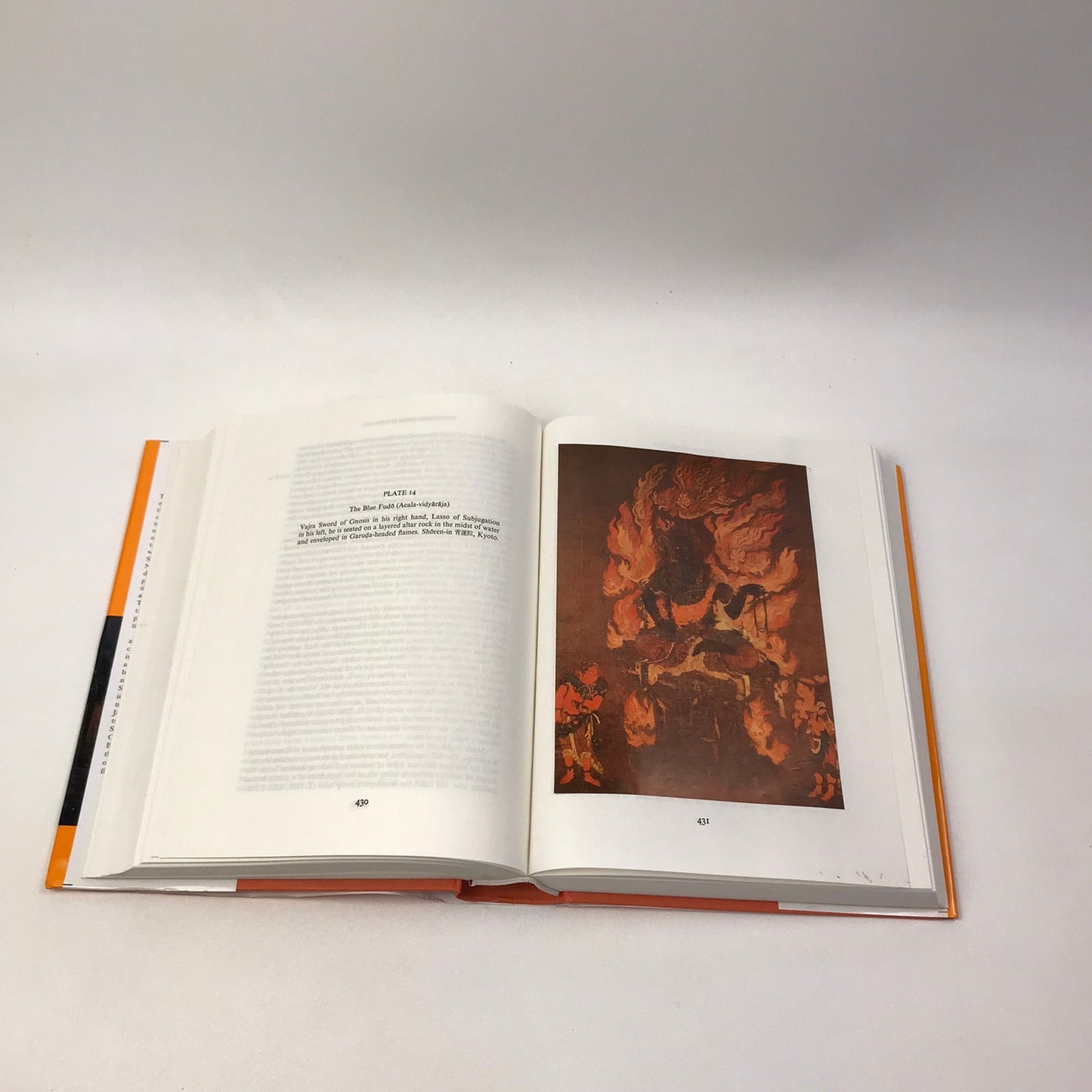 Agni The Vedic Ritual of the Fire Altar Frits Staal Volumes 1 and 2 Slip Covers