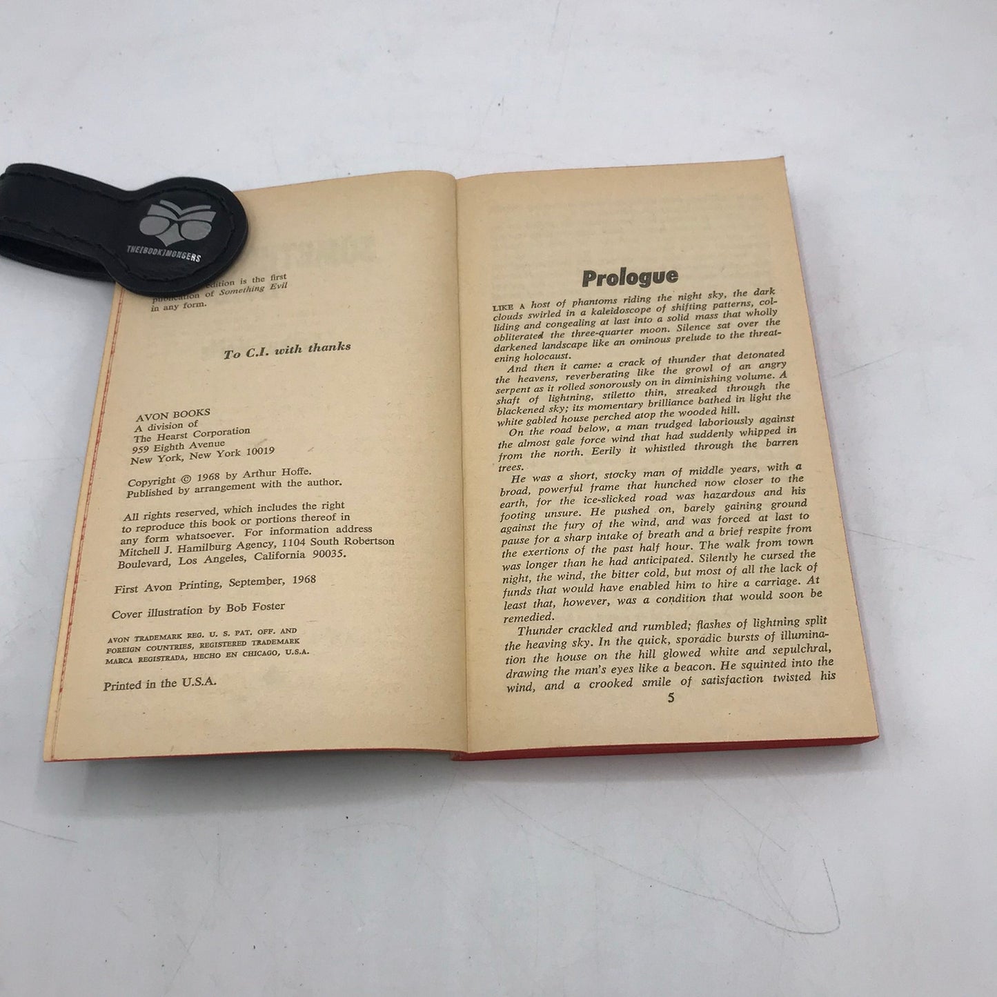 Something Evil Arthur Hoffe Horror Gothic Romance Mystery Supernatural Novel