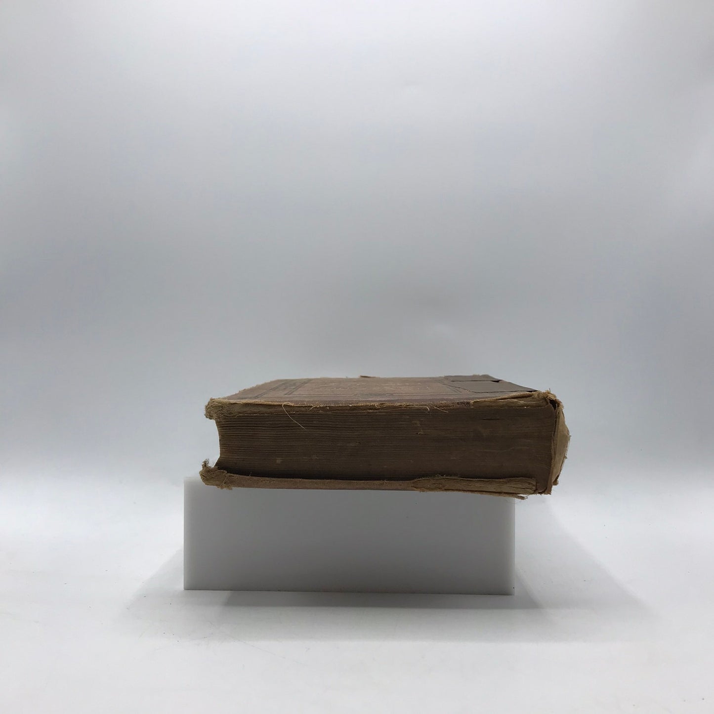 The Masque Torn Off Thomas DeWitt Talmage Sermon Religion Faith Christian 1883