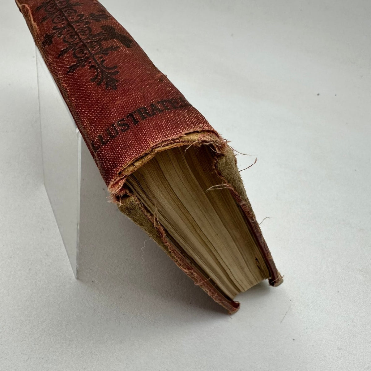 American Star Speaker Educator Entertainer Northrop 1903 Oratory Readings