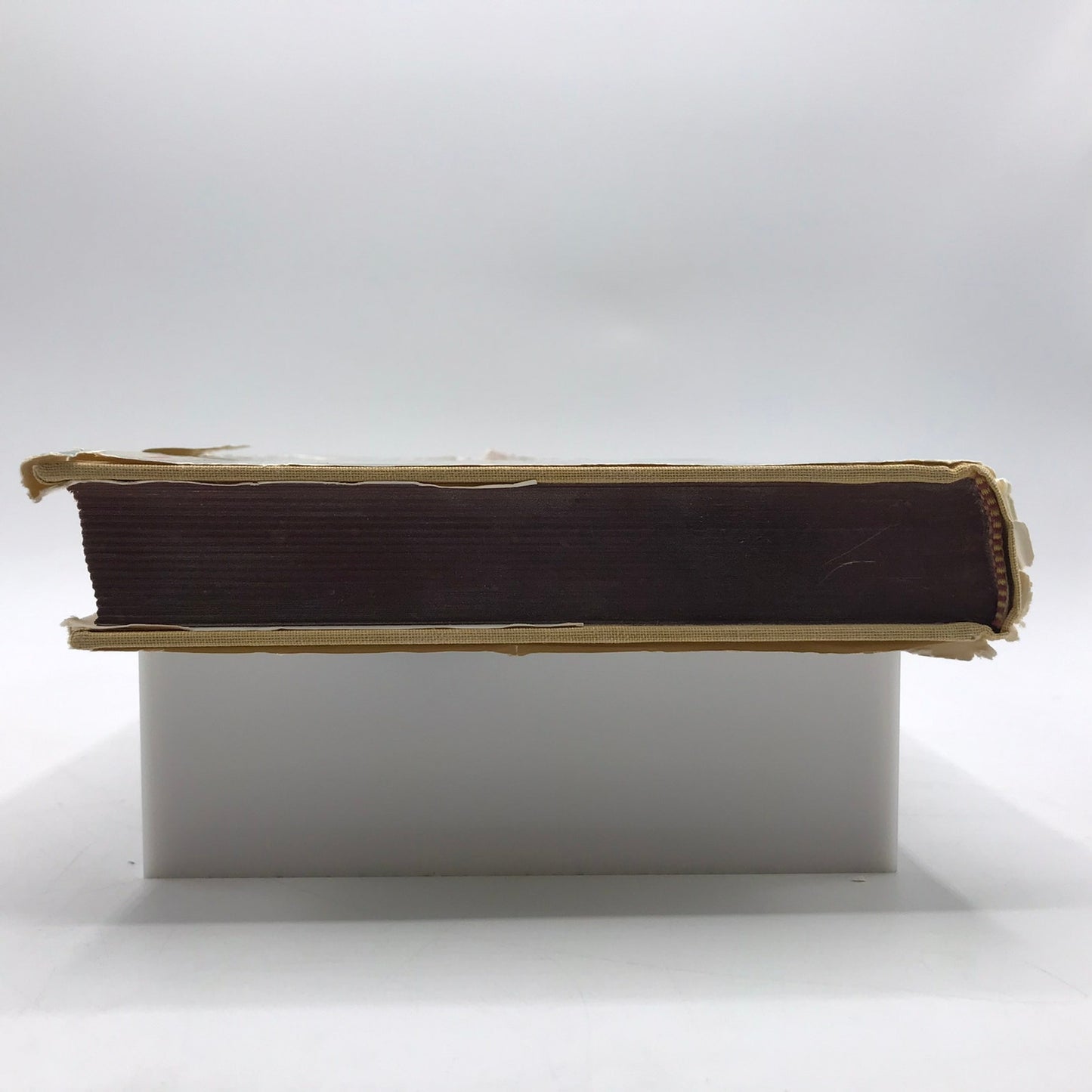 The Hand of Cantu Signed by Tom Lea Hardcover Illustrated Book 1st Edition 1964