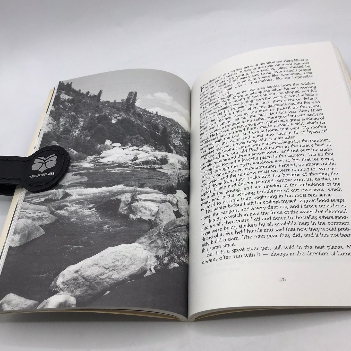 Midgebuzzings Signed Paperback by Ann Williams Illustrated First Edition 1985