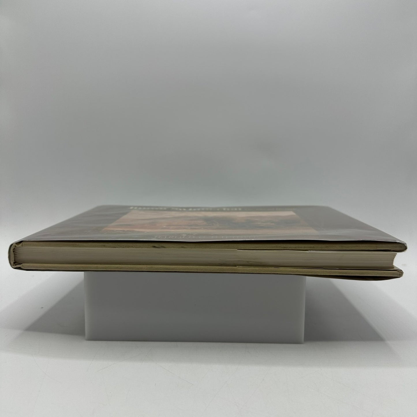 Jimmy Swinnerton Artist and His Work Harold G Davidson SIGNED Biography Painting