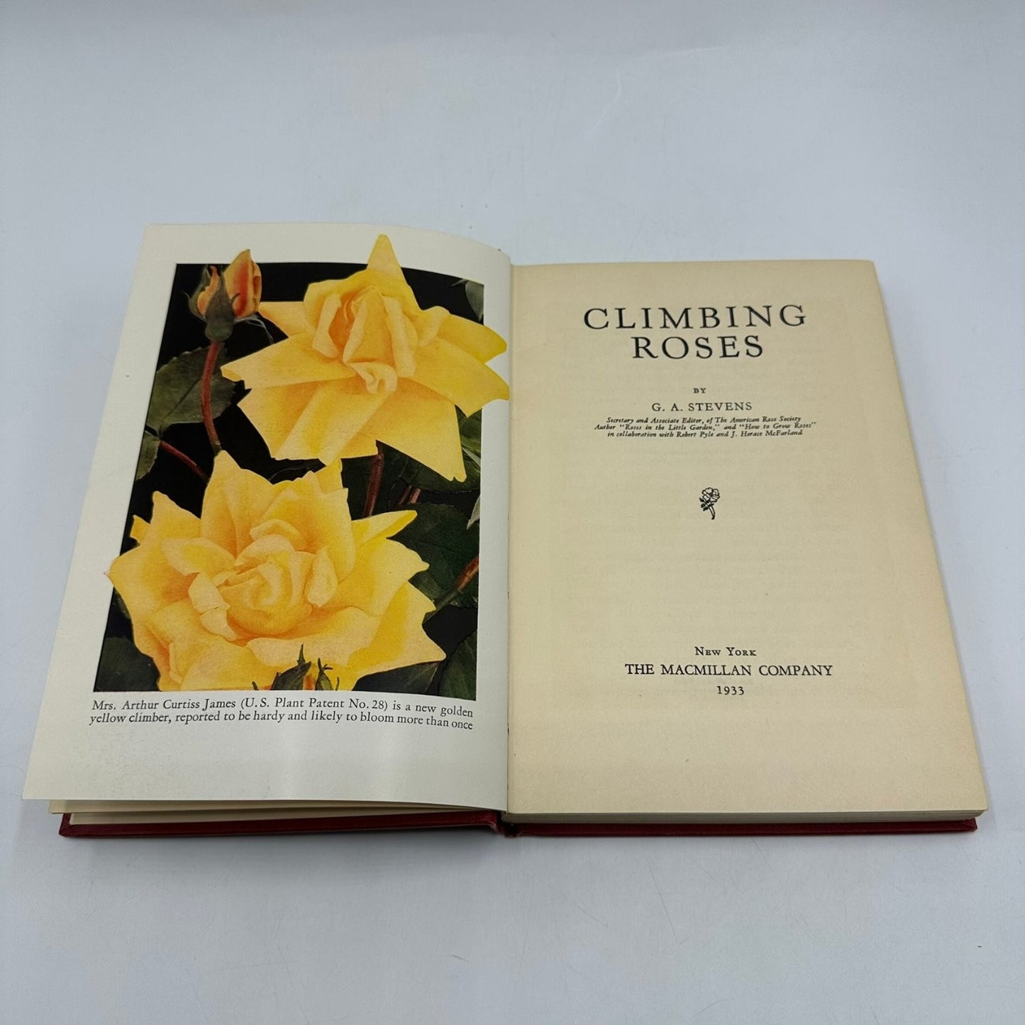 Climbing Roses G.A. Stevens 1933 First Edition Illustrated Macmillan Gardening