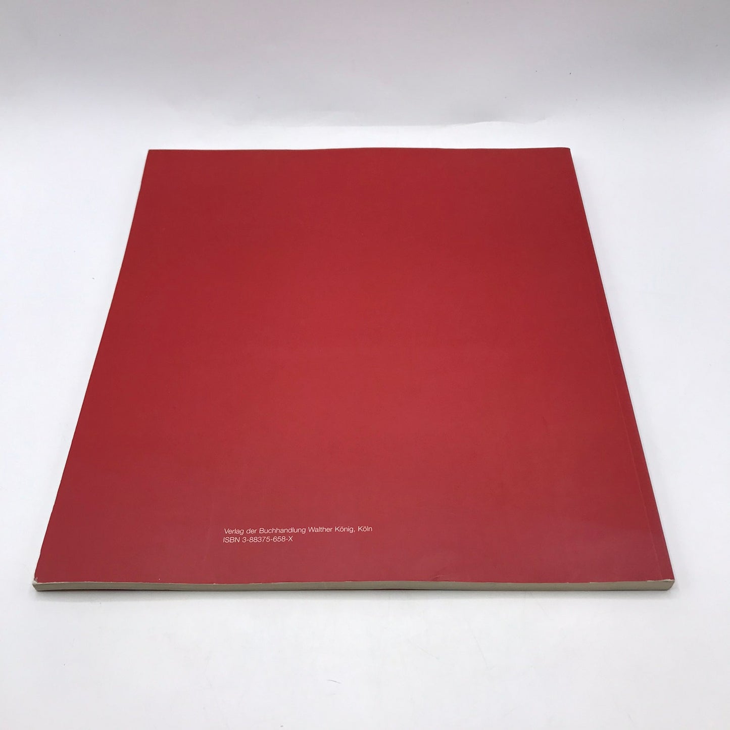 Secession IVAM Sue Williams Art For Institution and Home Catalog Regen Project