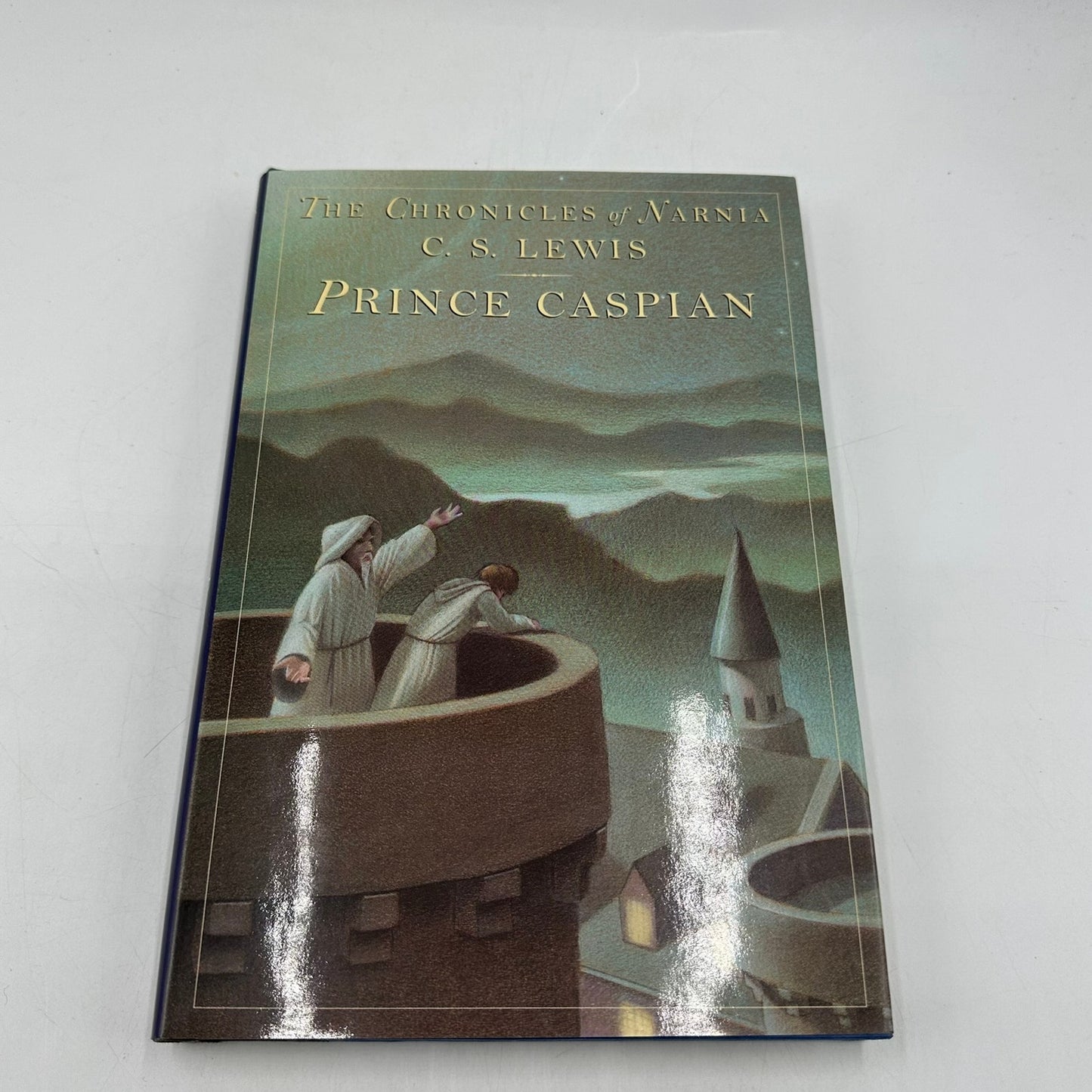 Chronicles of Narnia Novels #1-7 C. S. Lewis Childrens Literature High Fantasy