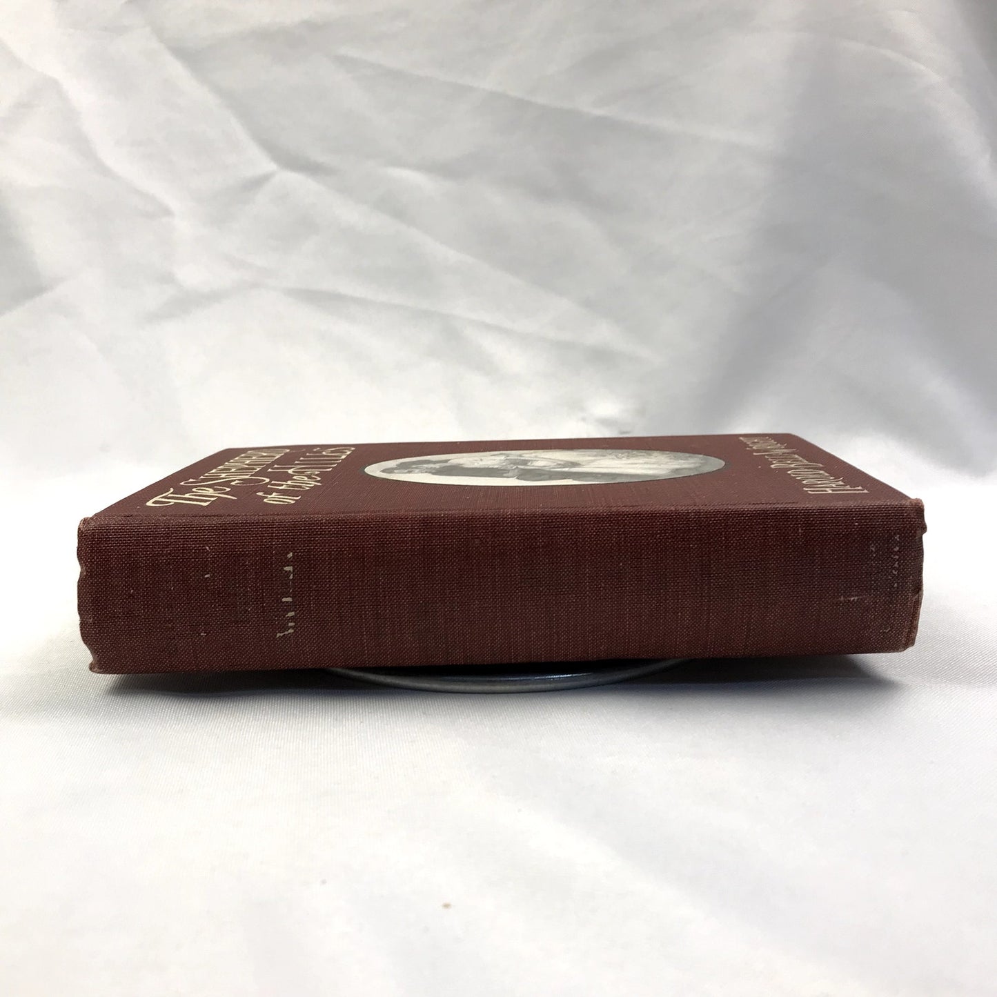 The Shepherd of the Hills Harold Bell Wright Illustrated Christian Fiction 1907