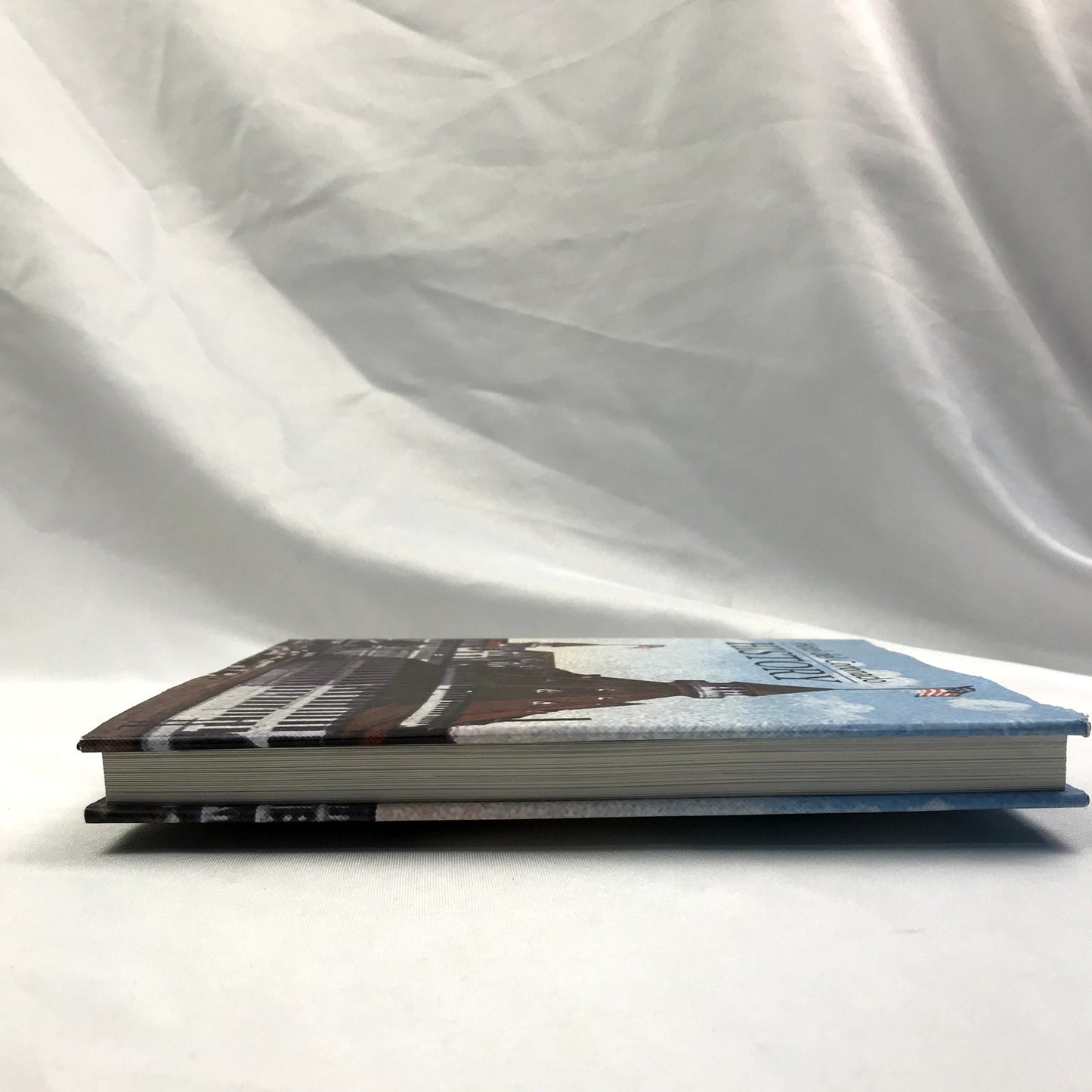 Hotel del Coronado History Illustrated Hardcover Book 125th Anniversary 2013