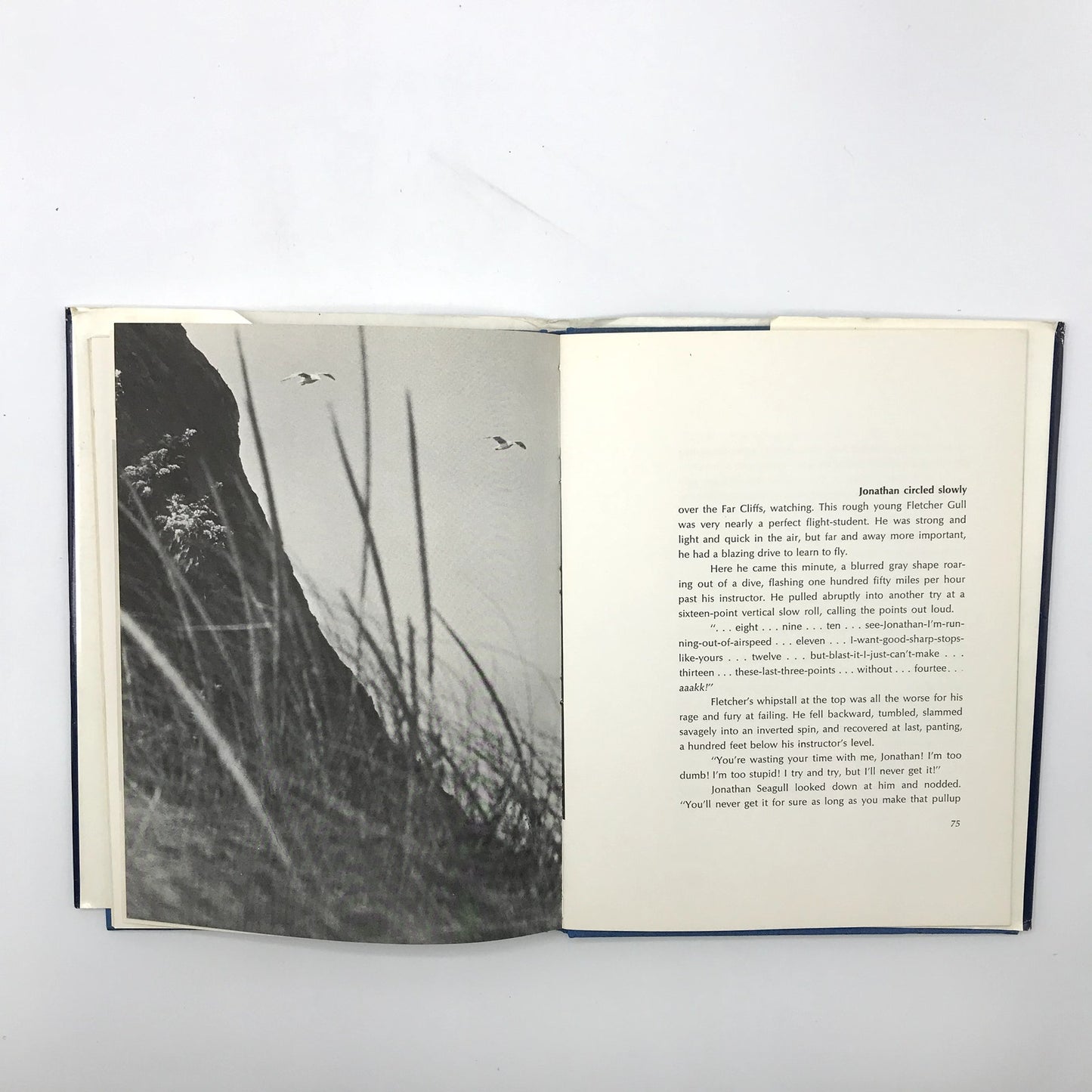 Jonathan Livingston Seagull Illustrated Hardcover Novel by Richard Bach 1970