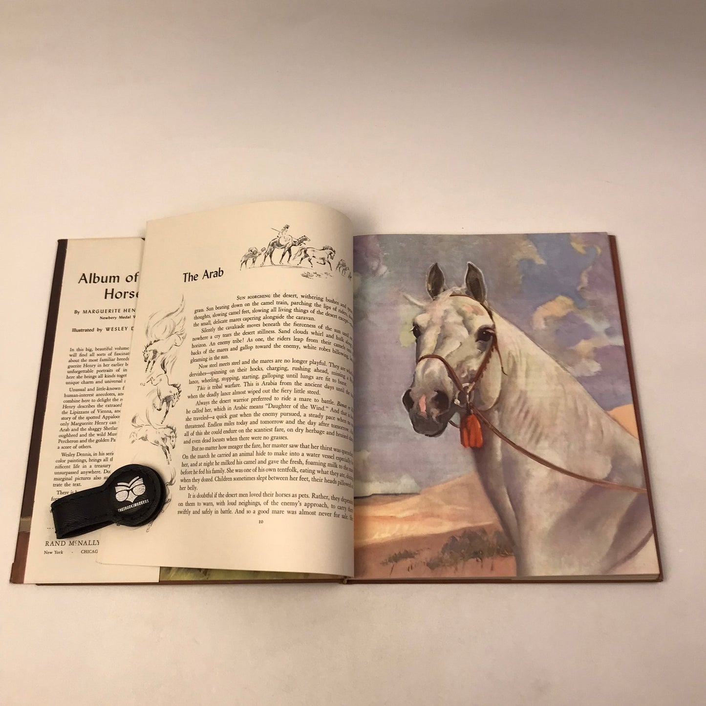 Album of Horses Marguerite Henry Childrens Animal Breeds Nature Classics History