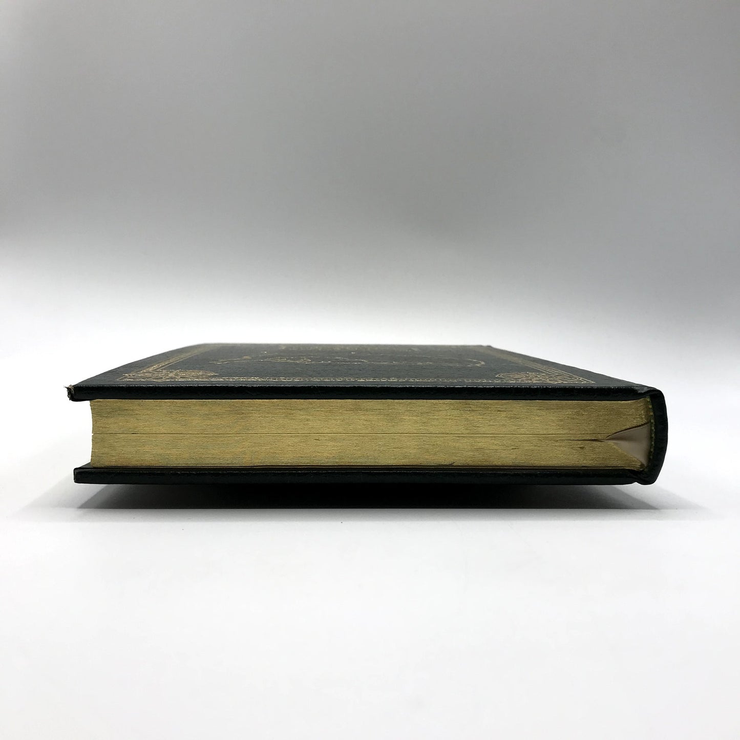 The Journals of The Expedition Lewis & Clark Vol 1 Hardcover Collector's Edition