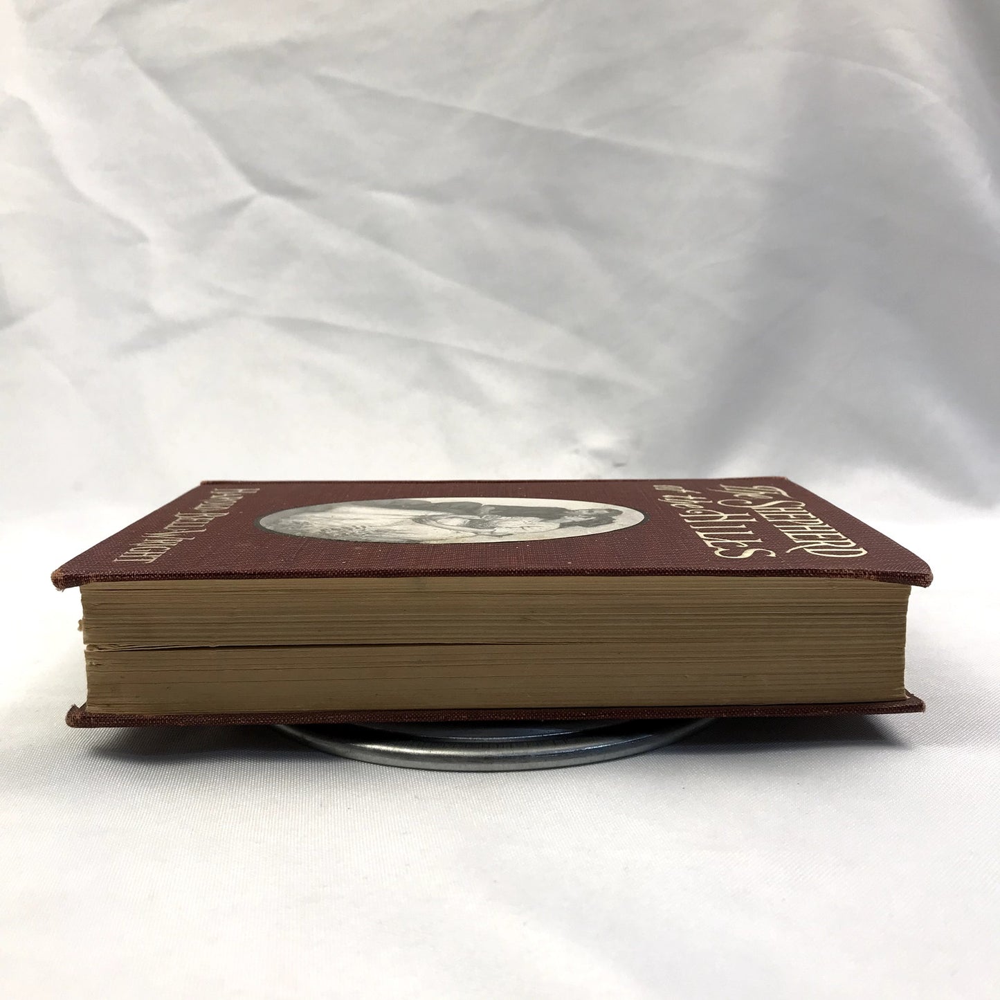 The Shepherd of the Hills Harold Bell Wright Illustrated Christian Fiction 1907