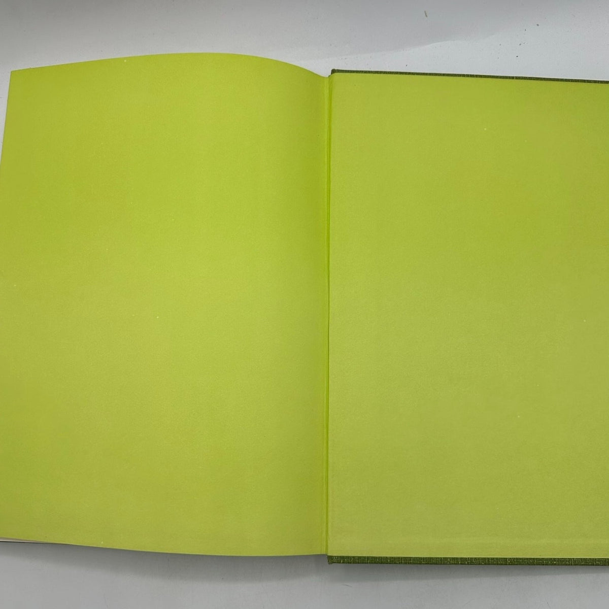 Florida State University 1966 Yearbook Tallyho FSU College Annual Memorabilia