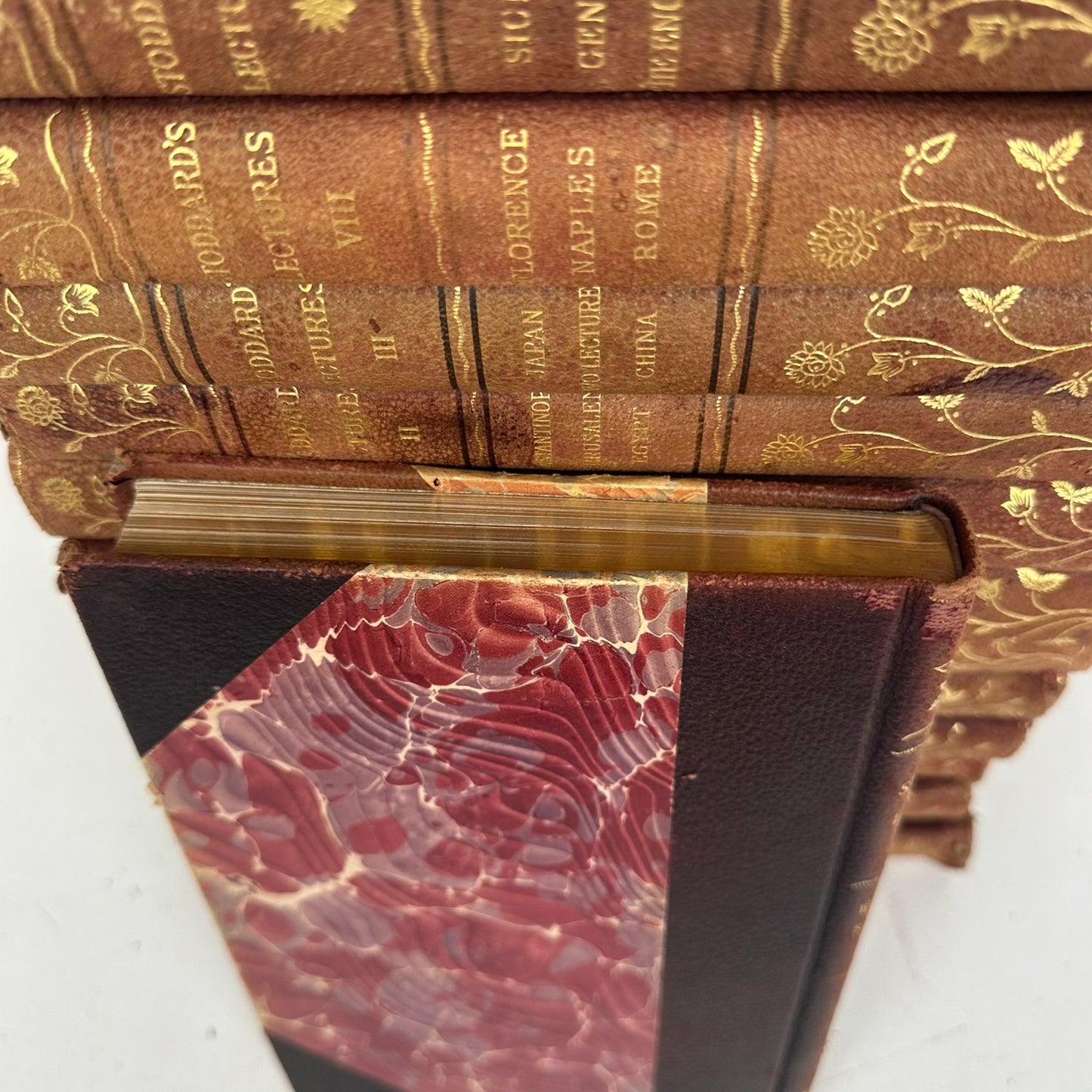 John L Stoddards Lectures 14 Volume Set World History Travel Leather Bound 1897