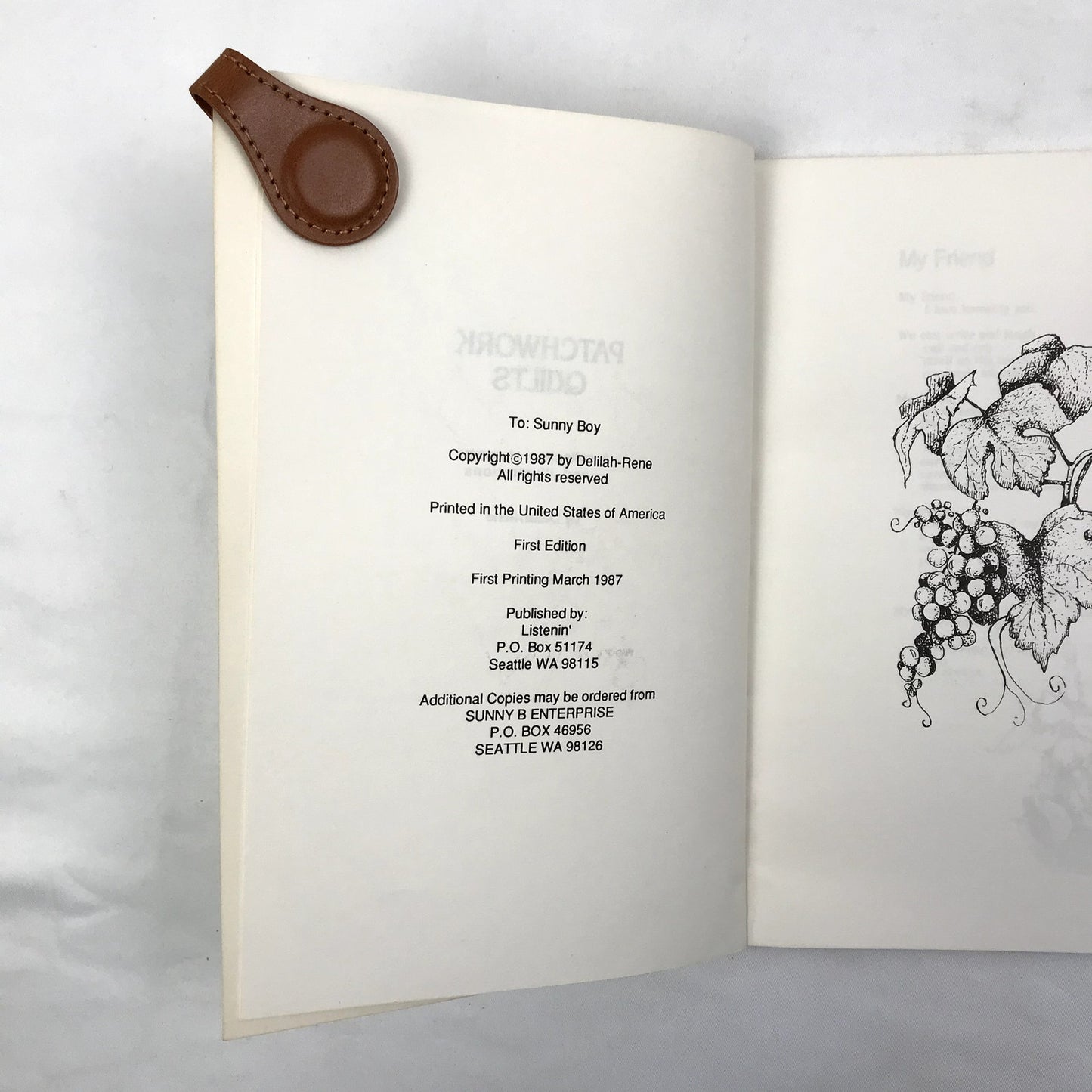 Patchwork Quilts Poems & Illustrations by Delilah Rene Signed 1st Edition 1987