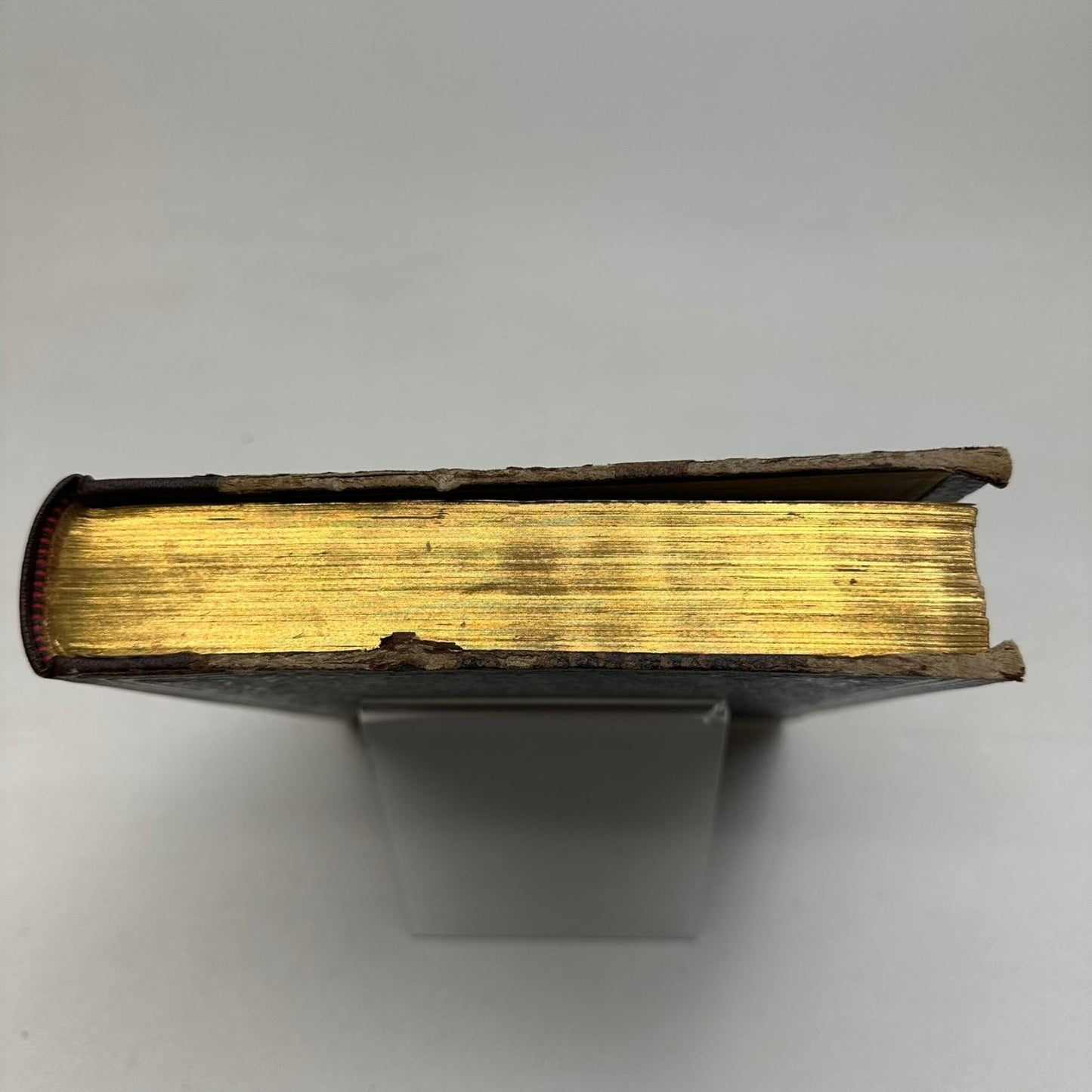 The Beautiful Life of Frances E. Willard Anna A. Gordon 1898 Biography W.T.P.A.