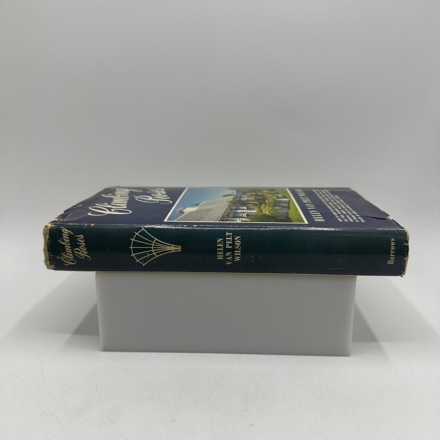 Climbing Roses Helen Van Pelt Wilson 1955 Gardening Horticulture M. Barrows