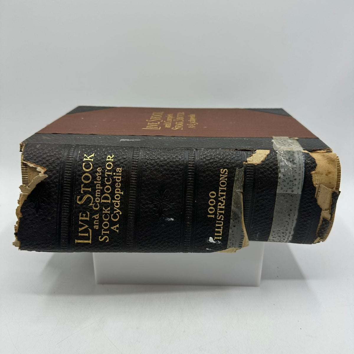 Live Stock A Cyclopedia A.H. Baker 1913 Special Edition 1000 Illustrations