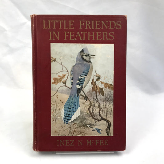 Little Friends in Feathers Illustrated Hardcover Book by Inez N. McFee 1921