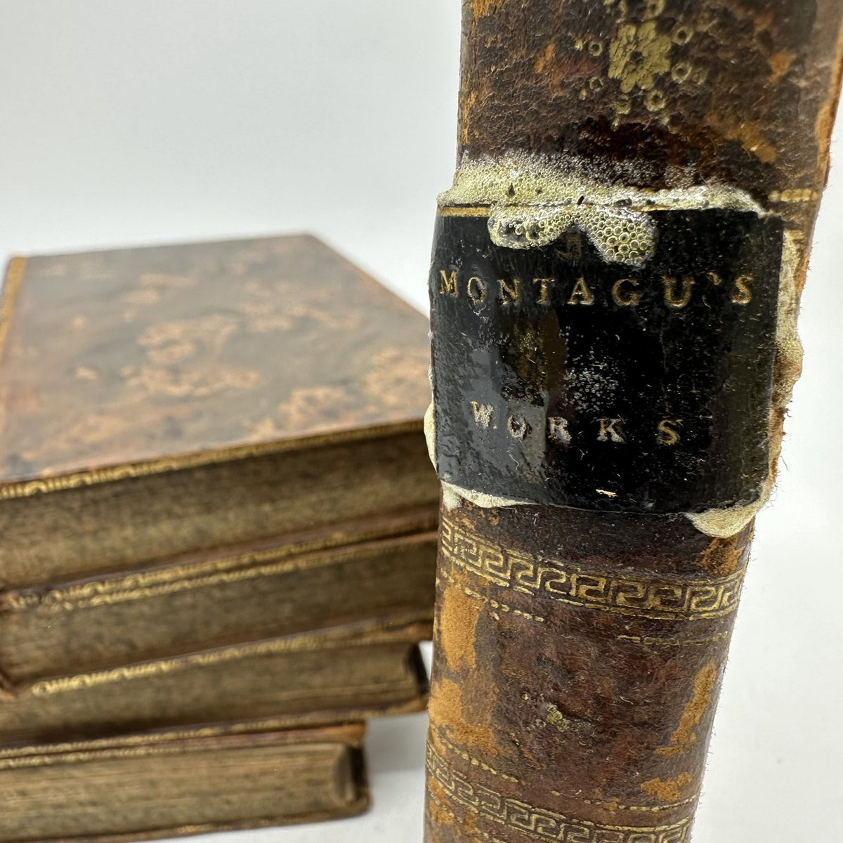 Montagu's Works Lady Mary Wortley Montagu 1805 Fifth Edition Complete 5 Volumes
