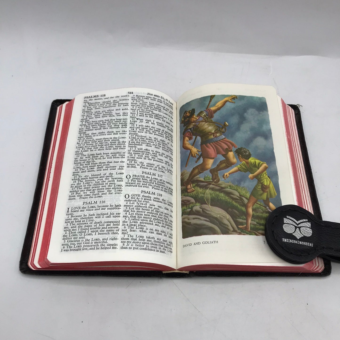The Holy Bible Self Pronouncing Christianity Religious Spiritual Theology Faith