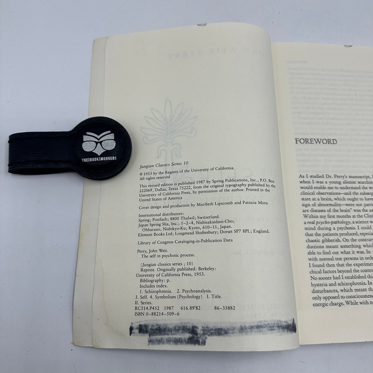 The Self in Psychotic Process by John Weir Perry Psychoanalysis Schizophrenia