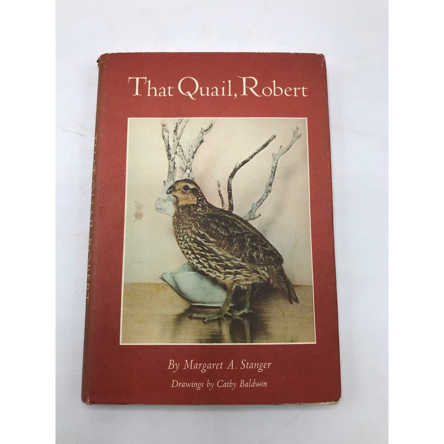 That Quail Robert Margaret A Stanger Ornithology Birds Wildlife Memoir Biography