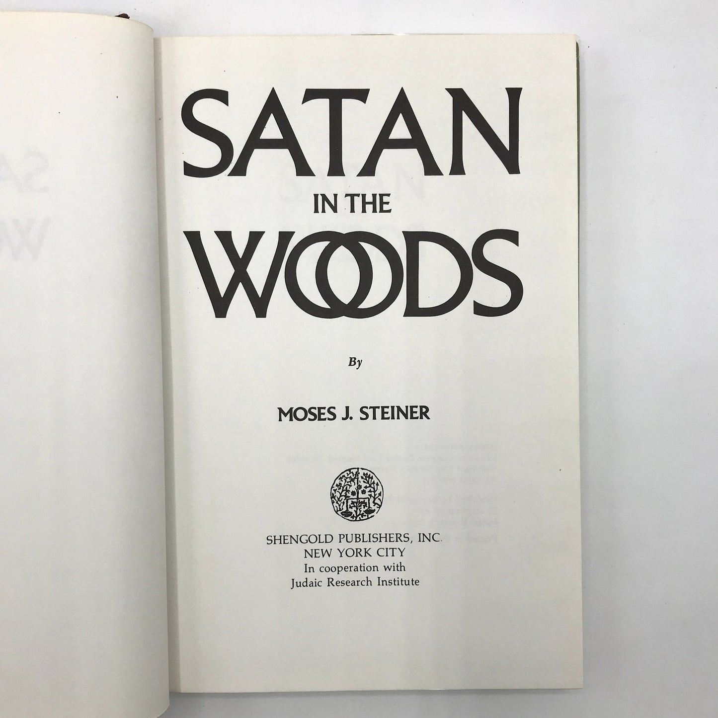 Satan In The Woods Moses Jacob Steiner Occult Mystery Novel Jewish Folklore