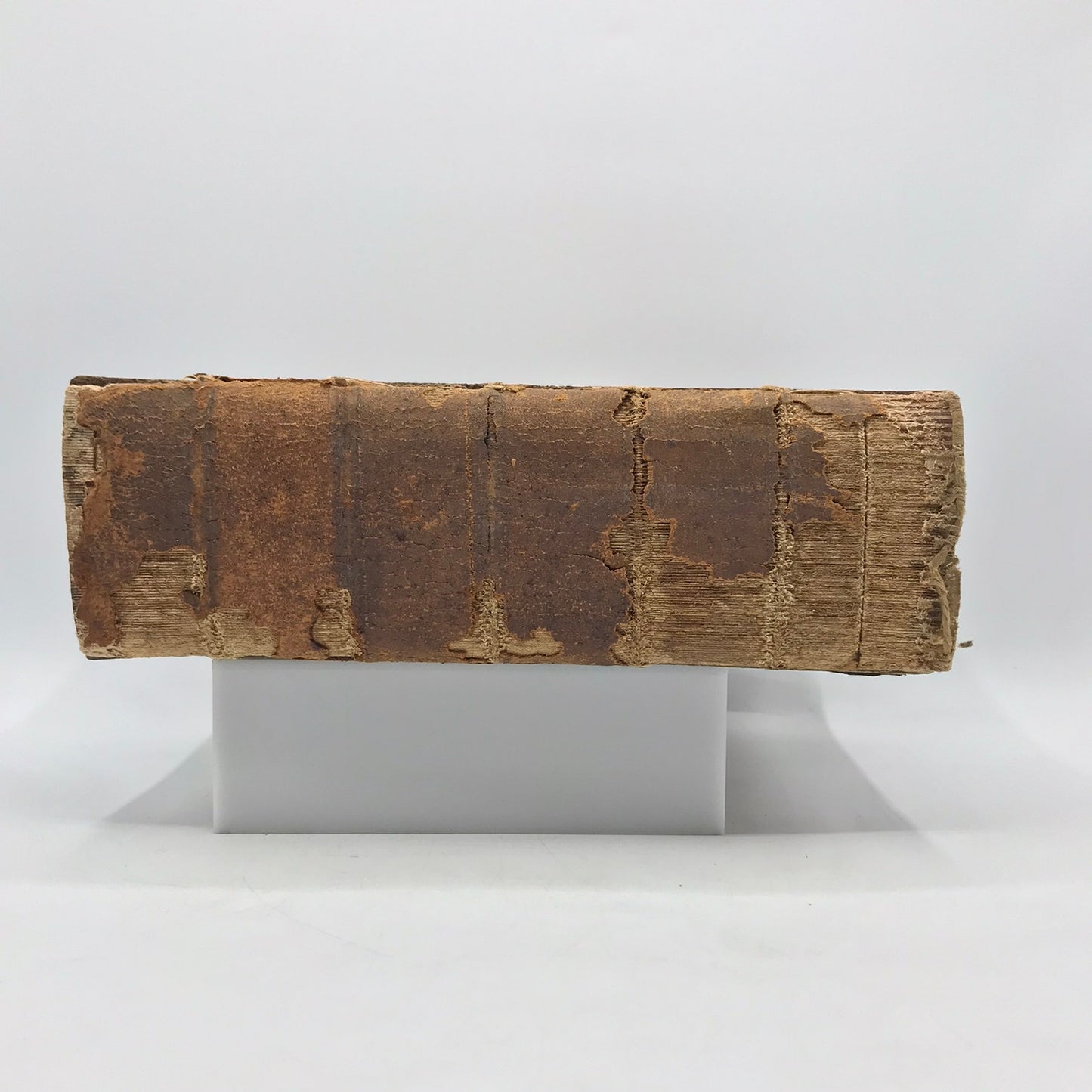A Copious and Critical Latin English Lexicon E A Andrews Language Lexicography