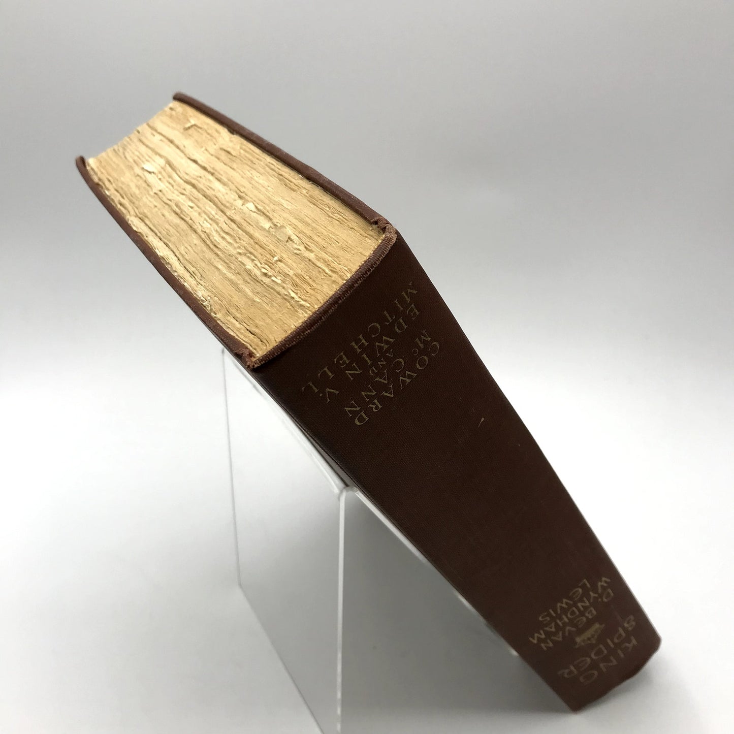 King Spider Illustrated Hardcover Book by D.B. Wyndham Lewis 1929 First Edition