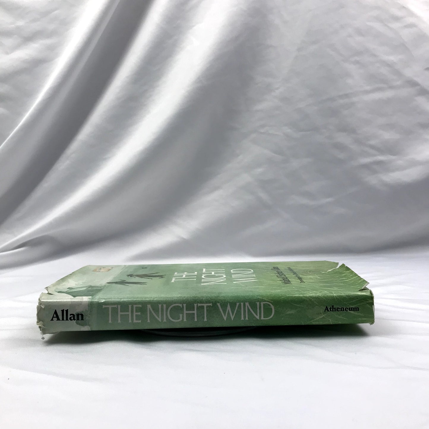 The Night Wind Hardcover Illustrated Book Mabel Esther Allan 1974 First Edition