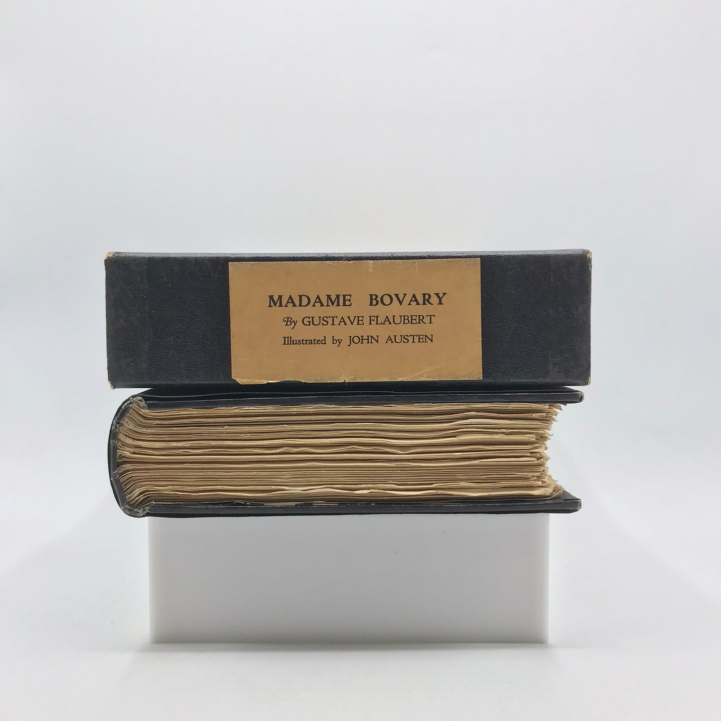 Madame Bovary Gustave Flaubert Historical Romance French Literature in Slipcase