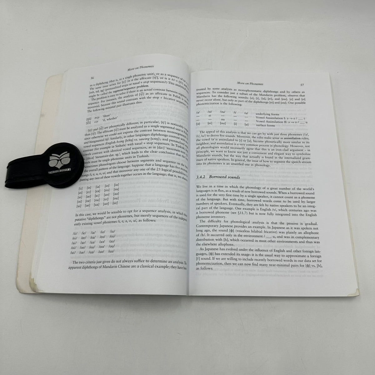 Introductory Phonology Bruce Hayes 2009 Linguistics Textbook Wiley-Blackwell