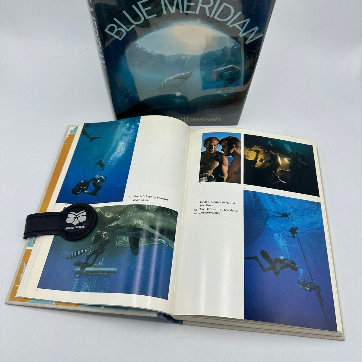 Blue Meridian Search for the Great White Shark Peter Matthiessen First Edition