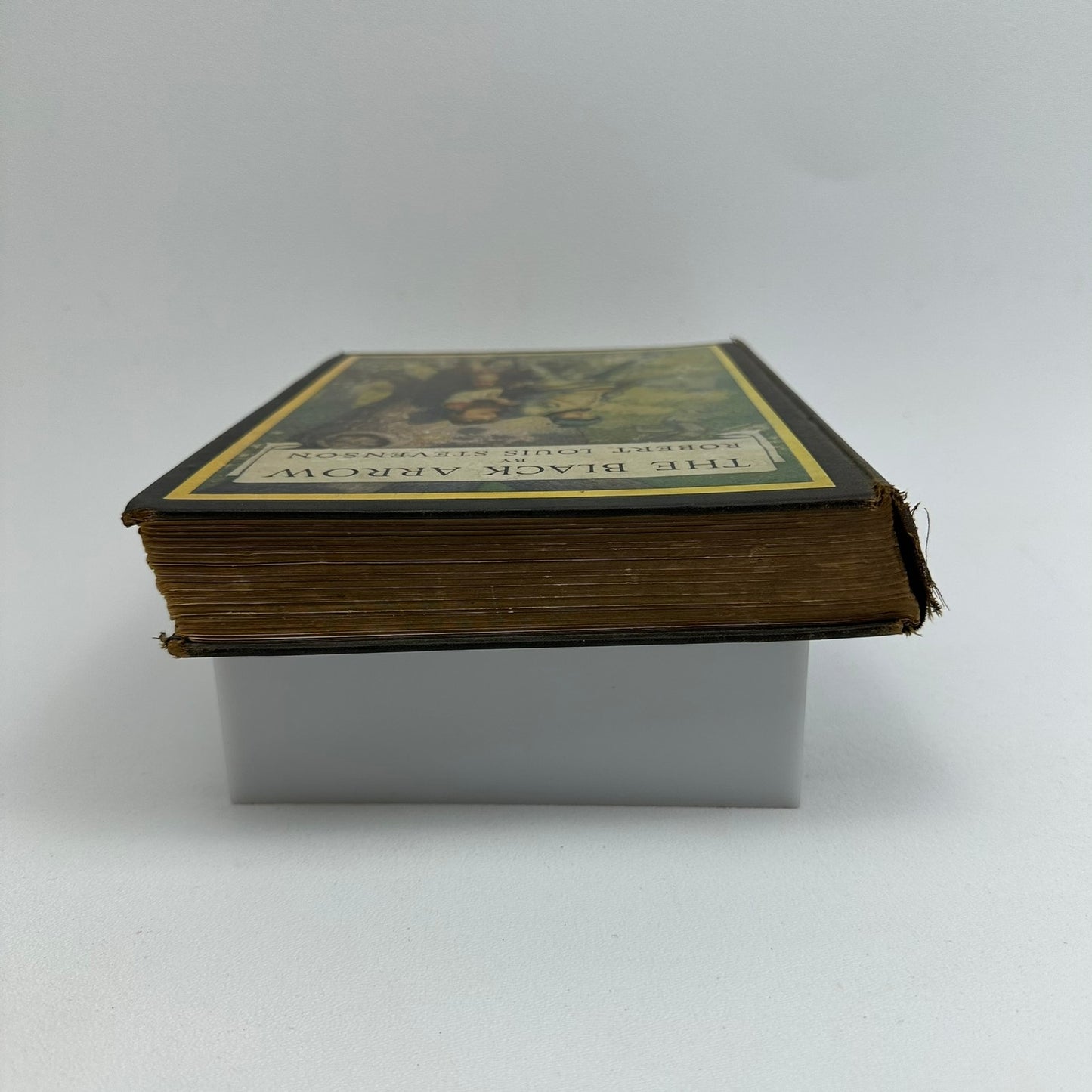 The Black Arrow Robert Louis Stevenson Tale of Two Roses Color Plates Wyeth 1916