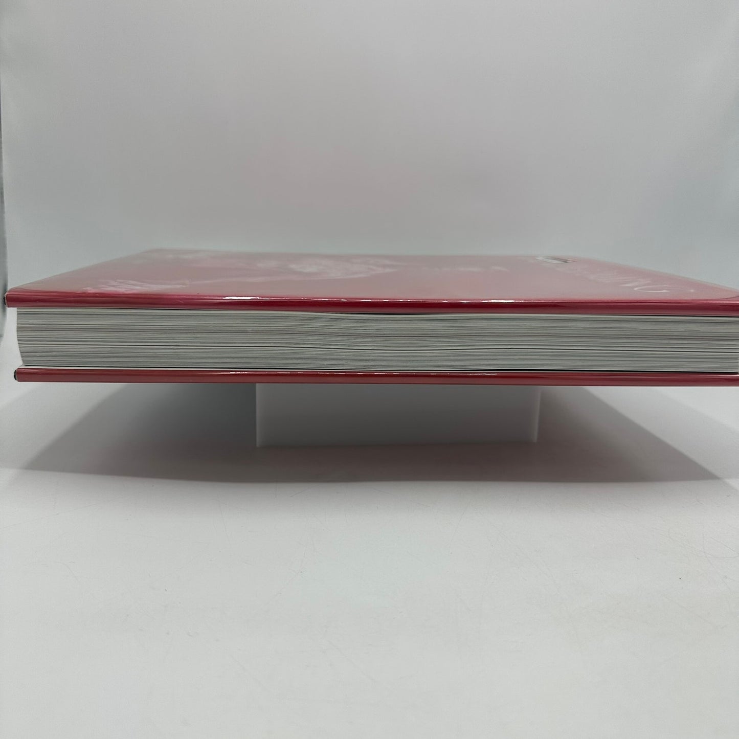 Yan Pei Ming Francesco Bonami Painting History Art Monograph Exhibition Catalog