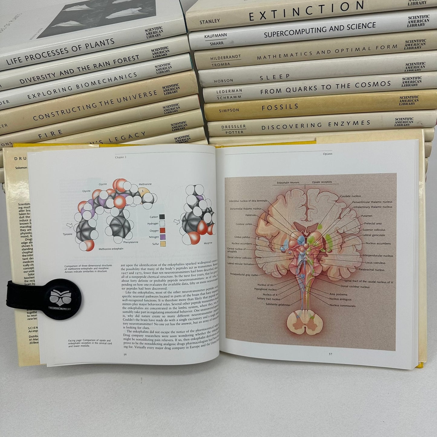 Scientific American Library 37 Volume Set Natural History Biology Science Plants